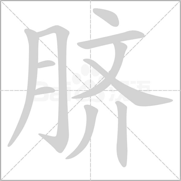 臍的筆順
