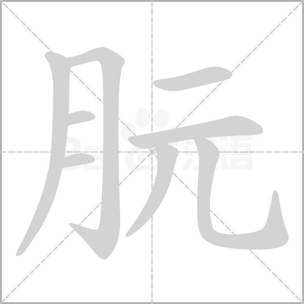 朊的筆順