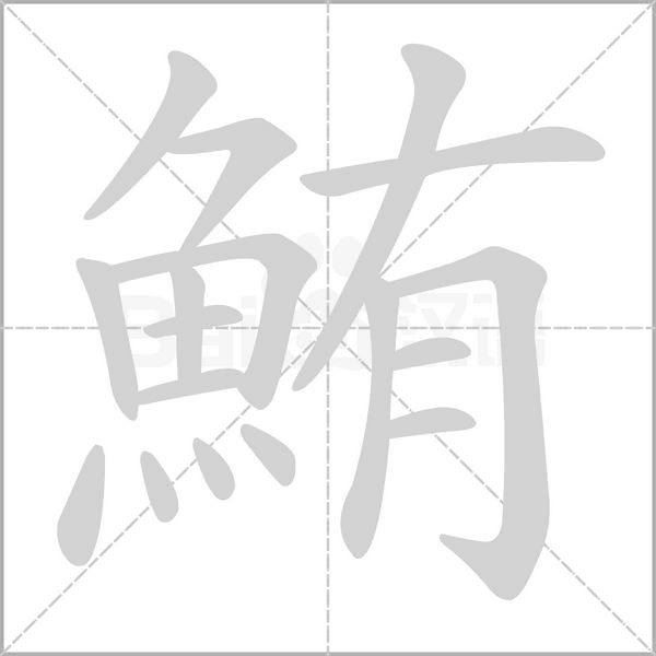 鮪的筆順
